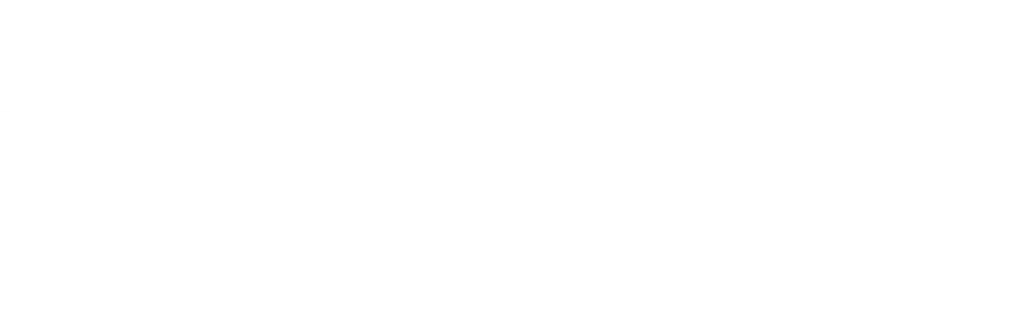 Logo-Irion-bianco