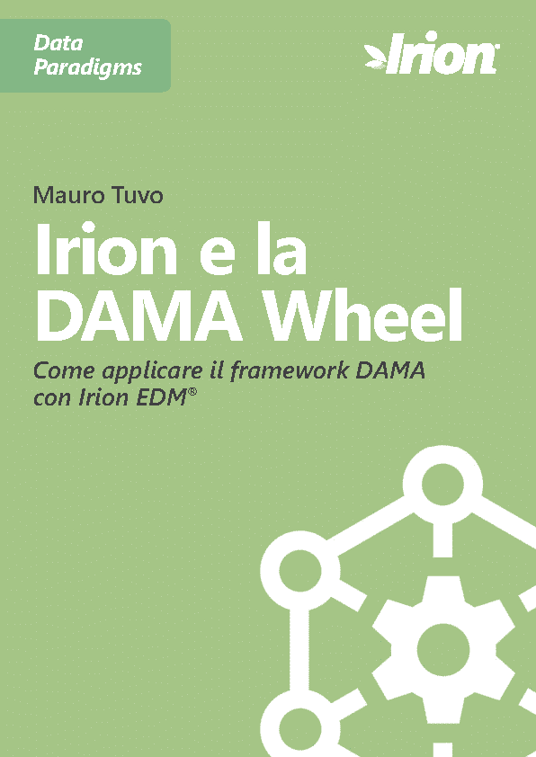 Mauro Tuvo white paper: Irion e la DAMA Wheel - Come applicare il framework DAMA con Irion EDM